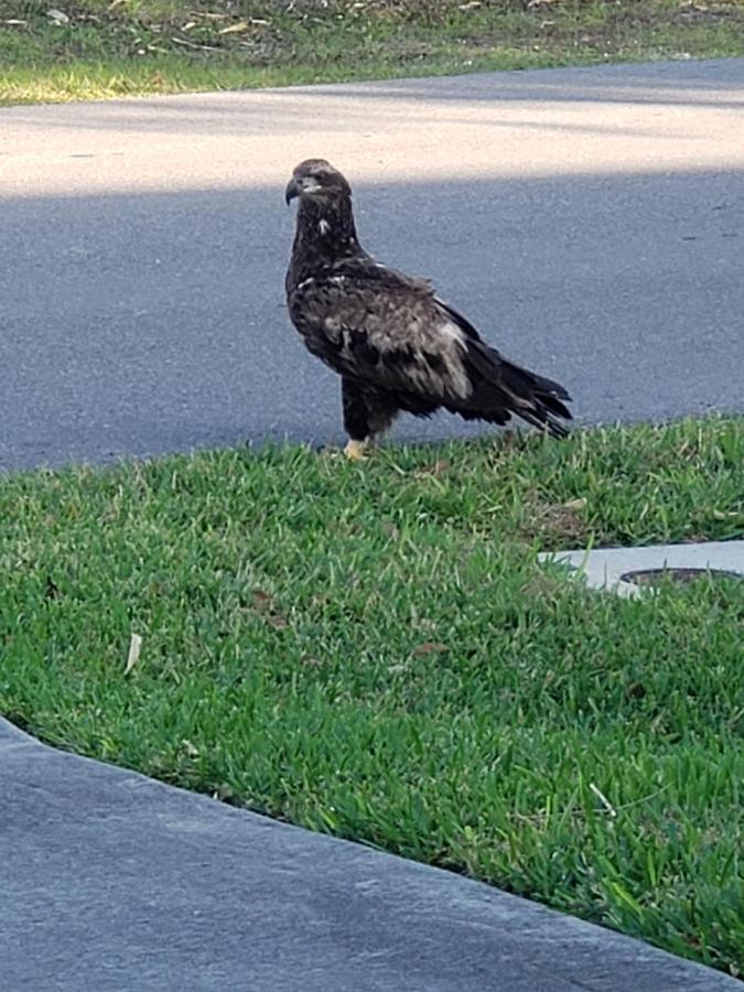 Quails Nest Hotel Cape Coral Buitenkant foto